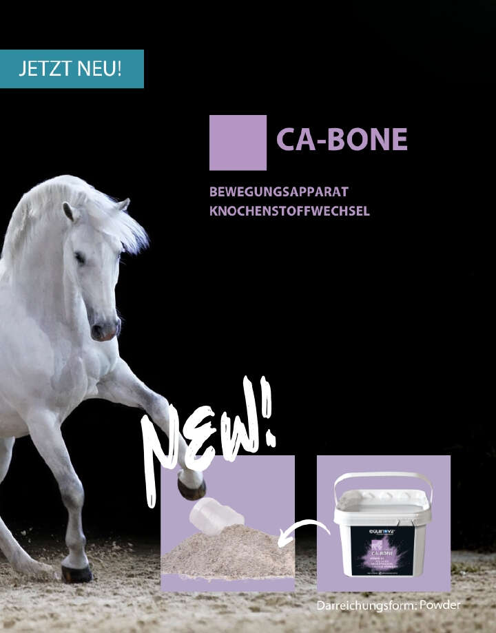 Höveler Banner Webshop Mobil CA BONE 780px x 996px